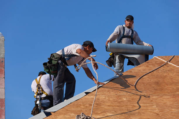 Best Metal Roofing Contractor  in North Randall, OH